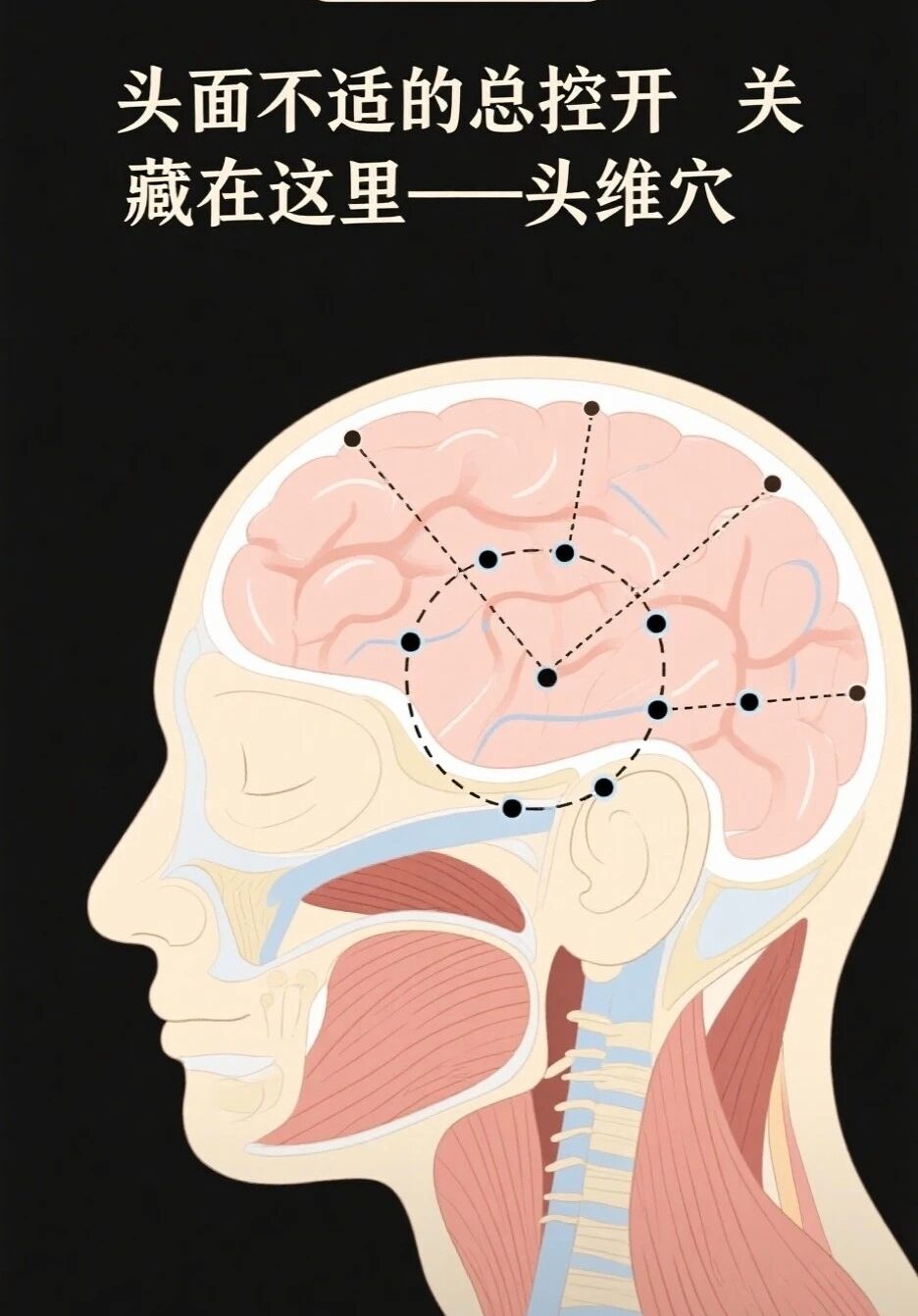 头脑带.jpg