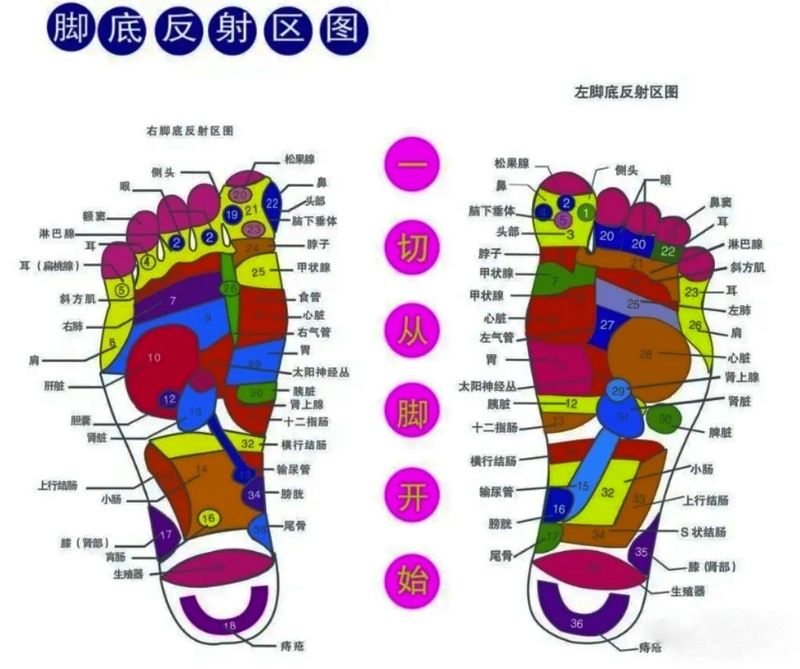 脚丫的穴位图片.jpg