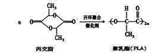 啊聚乳酸生产方法二.png