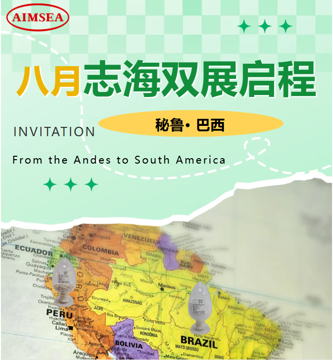 八月志海1.png